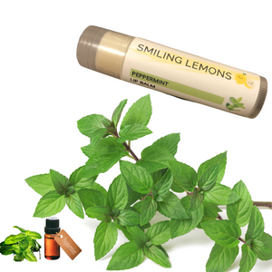 Peppermint scented organic lip balms